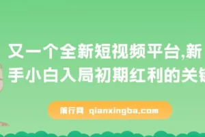 全新短视频平台，疑似巨头之作，新手小白入局初期红利的关键