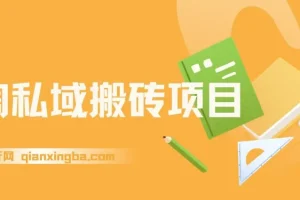 淘私域搬砖项目，利用信息差月入5W，每天无脑操作1小时，后期躺赚