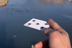 【飞牌教程，小时候想着当飞牌杀手现在来了】