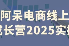 【阿呆电商线上成长营2025实操】
