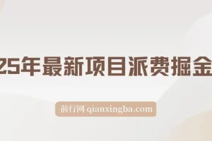 2025年最新项目【派费掘金计划】操作简单，日入2000+