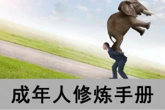 成年人修炼手册（一套4本合订版）