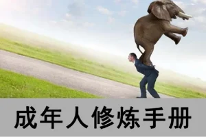 成年人修炼手册（一套4本合订版）