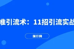 精准引流术：11招引流实战方法，让你私域流量加到爆（11节课完整版）