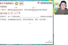 2024高二化学暑假特训班：反应热/电化学/平衡计算精讲