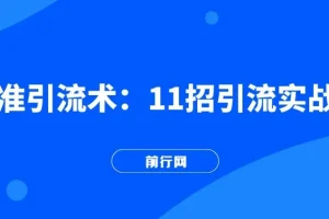 精准引流术：11招引流实战方法，让你私域流量加到爆（11节课完整版）