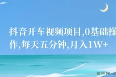 抖音开车视频项目，0基础操作，每天五分钟，月入1W+