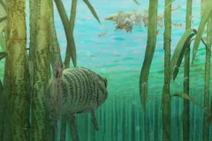 《你好世界》全10集超清版