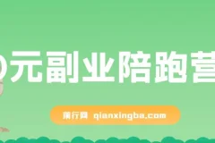 0元副业陪跑营，即梦、醒图、网盘、小说推文免费陪跑，手把手教