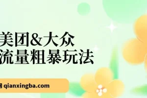美团&大众流量粗暴玩法，迅速高效掌握美大秘诀（24节）
