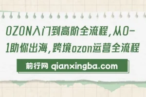 【精】OZON入门到高阶全流程，从0-1助你出海，跨境ozon运营全流程