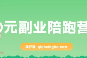 0元副业陪跑营，即梦、醒图、网盘、小说推文免费陪跑，手把手教