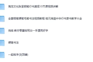 《付费书法练字课程》5合集 写一手漂亮字