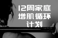 卓叔增重：12周家庭增肌循环计划