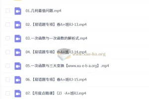 2024-2025初二数学 徐丝雨 A+暑假 秋季班 寒假 春季班