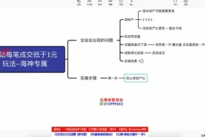 拼多多直通车高投产玩法：搜索+场景+全站推广实战