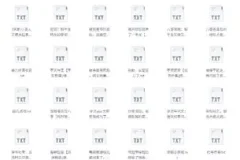 《书旗会员小说完结榜》500本精校TXT小说推荐[2G]