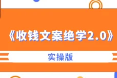 《收钱文案绝学2.0实操版》