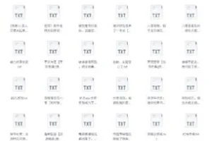 《书旗会员小说完结榜》500本精校TXT小说推荐[2G]