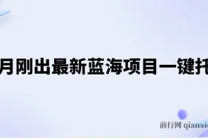 五月刚出最新蓝海项目一键托管 ，躺赚收益分成 日产无上限
