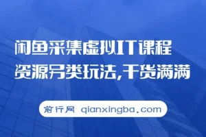 闲鱼采集虚拟IT课程资源另类玩法，干货满满