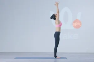 王媛24式瑜伽体式精讲（零基础入门）