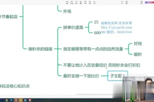 拼多多爆款训练营：大促流量+付费推广实战课