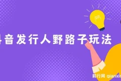 抖音发行人野路子玩法，手机操作一天2000+