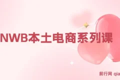 跨境电商新蓝海：OZON本土电商全攻略，选品优化订单处理一网打尽