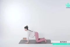 14天零基础瑜伽速成课-王媛14讲