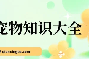 宠物知识大全，真正的蓝海小众项目，收益很稳定