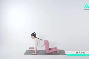 14天零基础瑜伽速成课-王媛14讲