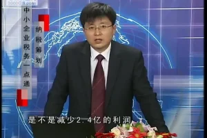 刘国东中小企业纳税筹划12讲：税务实操一点通