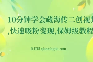 10分钟学会《藏海传》二创视频，快速吸粉变现，保姆级教程