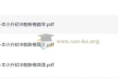 一本小升初冲刺新卷