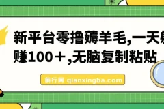 新平台零撸薅羊毛，一天躺赚100＋，无脑复制粘贴