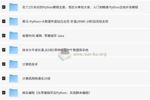 编程开发付费课程合集大全（含python，java，算法，web等技术）【653.8G】