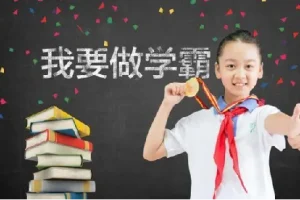 小学学霸专题系列资料包：包括五星学霸、学霸默写、学霸作业本等资料，PDF格式，可打印学习