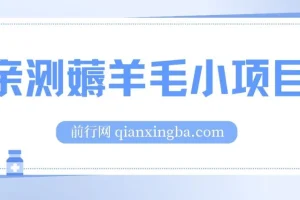 亲测薅羊毛小项目，2毛钱一个广告，提现无门槛！一天50+