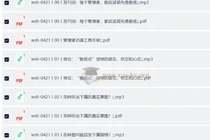 吴士宏 教练式领导力 （完结）