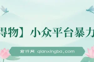 【得物】小众平台暴力玩法，一键搬运爆款视频，可矩阵，小白无脑操作