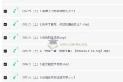 小学语文 馒头大语文伴读 · 六年级（上+下）