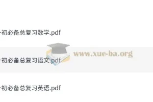 小升初必备总复习 语数英