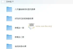 野生英语老师Frank 英语教学五合一课程 26G