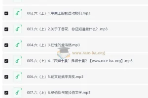小学语文 馒头大语文伴读 · 六年级（上+下）