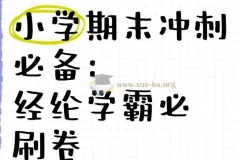 经纶学霸《2025春小学学霸期末必刷卷·语数英》