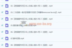 2024届 初三数学 中考数学 （王杭州）A+ 暑假班