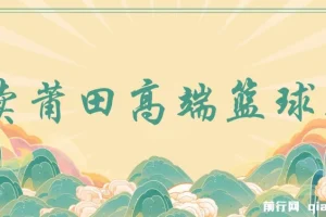 卖莆田高端篮球鞋，小白轻松月入过万