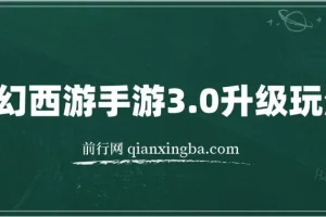 梦幻西游手游3.0升级玩法，冷门暴力，一单35，一部手机或者平板即可操
