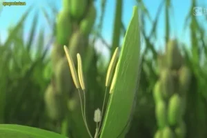 斑马百科：改变世界的20大发明